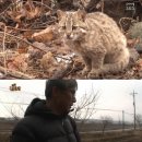 맹수 농장 이미지