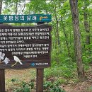 뒷골2로 이미지