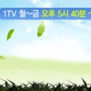 11/29 (월) KBS 1TV " 울산직장인밴드 " 방송 이미지