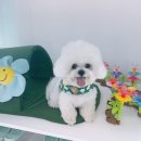 런독 이미지