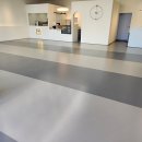 댕댕빌리지 이미지