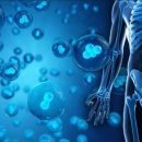 세포경로당 이미지