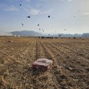 수천식당 이미지