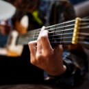 보강천 미루나무숲 이미지