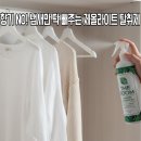 더숨 | 인위적인 향이 부담스럽다면 이거 쓰세요 무색무취 천연탈취제 더숨 제올라이트 사용후기(ft.클린드플래르)