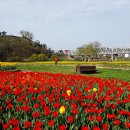 금강교옆 공원 이미지