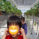 원아농장 이미지