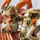 칠암아나고횟집 | 칠암 동해횟집 내돈내산 솔직후기 아나고회 붕장어회 칠암횟집촌