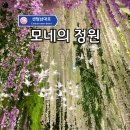 향연 | 여긴 무조건 찍어야해요! 아름다운 꽃의 향연 센텀시티 모네의 정원!