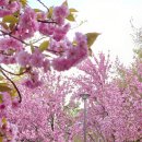 완산도서관 화장실 이미지