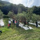 매일농장 이미지