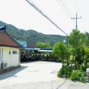 숲속의 빈터 이미지