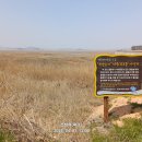 장군로-2 이미지