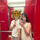 조아짐 영도 | 부산여행 with 🐯