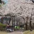 삼평동675-1 이미지