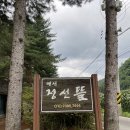 노추산힐링펜션 | 정선 독채펜션, 정선뜰펜션 독채 힐링 숲뷰(노추산)