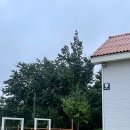 용펜션 | 속초 애견동반 숙소 가성비 좋은 용펜션 / 뷰 짱