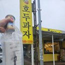 춘천중앙시장 | 춘천 중앙시장 튀김만두 중독성있는 팬더하우스 주말 웨이팅 후기