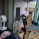 태산ENG | 올여름, 집 공기 질 대폭 상승시킨 비결은?