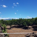 하예동-10 이미지