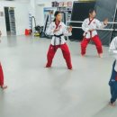 한국체대하나태권도장 이미지