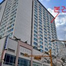 상동종로약국 Daum카페
