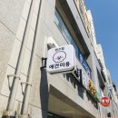 텐즈힐 애견미용 | 신설동 애견미용샵 &lt;텐즈힐애견미용&gt;