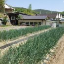 봉동공인중개사사무소 이미지