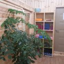 해바라기안마원 이미지