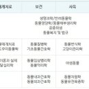 주식회사 드림인터내셔날 이미지
