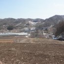 수분령주유소 네이버블로그