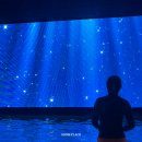 구로오션파라다이스 | 인천 영종도 파라다이스 씨메르 수영장 가격, 셔틀버스, 주차, 음식 꿀팁