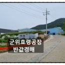 대구고매초등학교 이미지