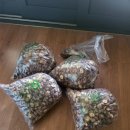 금옥농장 이미지