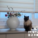 번개금속(주)