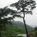 부운농장 이미지