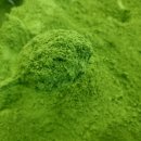 손동수농장 이미지