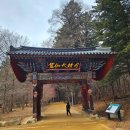 아름드리학원 | (평창여행)오대산 월정사와 사계절 걷기 좋은 명품 산책 코스 월정사 전나무 숲길