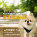 타임펫 IT비즈뉴스