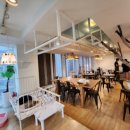 하늘을 걷는 고양이 카페 이미지