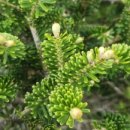 구상목장 이미지