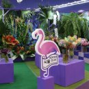 꽃뿐이네 이미지