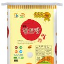 황토랑 이미지