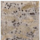 대동문구 이미지