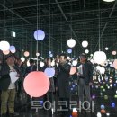 원벨리캣 이미지