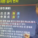 명리심리상담사 2급 과정 이미지