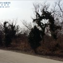 서광리-23 이미지