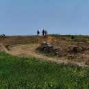 가고픈청보리 이미지