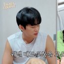 엔조이 일간스포츠