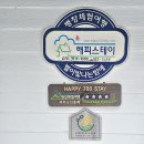 평창 별이빛나는밤에 이미지
